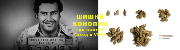 бошки Белокуриха