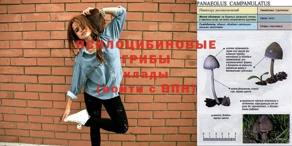 спиды Покачи