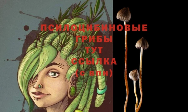 спиды Покачи