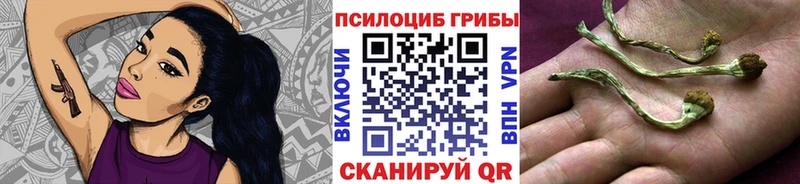 Галлюциногенные грибы Cubensis Шлиссельбург